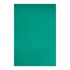 Картон цветной А4, 190 г/м2, немелованный, зелёный, цена за 1 лист