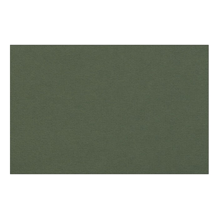 Бумага для пастели 210 х 297 мм, Lana Colours, 1 лист, 160 г/м?, виридоновый зелёный