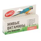 Живые витамины "Ешка Микс" для попугаев, овес, пшеница, ячмень, 20 г