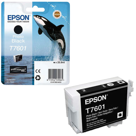   EPSON (C13T76014010) Epson SC-P600,  , 