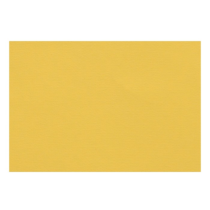 Бумага для пастели 210 х 297 мм, Lana Colours, 1 лист, 160 г/м?, светло-жёлтый