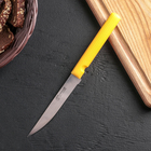 Нож «Эконом», лезвие 11,5 см, цвет МИКС