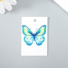 Бирка "Бабочка голубая" 4х6 см