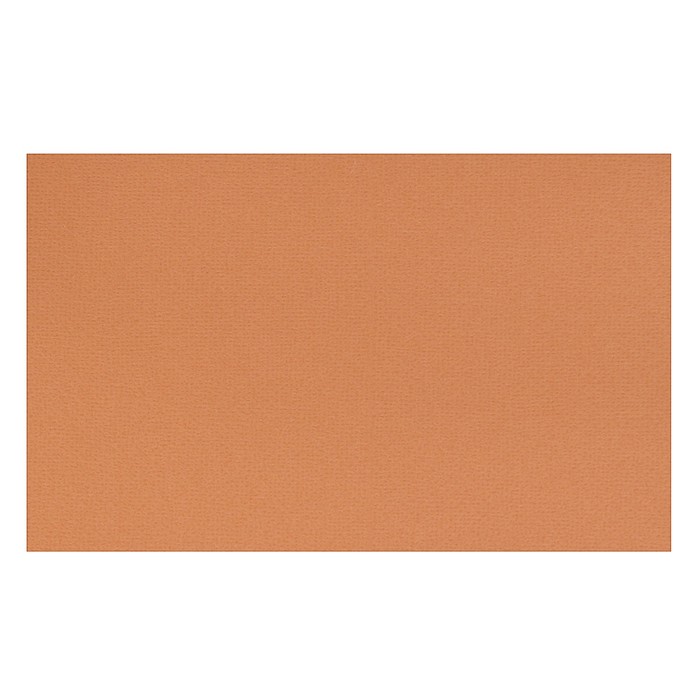 Бумага для пастели 210х 297 мм, Lana Colours, 1 лист, 160 г/м?, охра