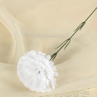 Цветы искусственные гвоздика 37 см белый