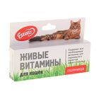 Живые витамины «Ешка» Пшеница для кошек, 20 г