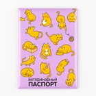 Обложка на ветеринарный паспорт «Рыжие коты»