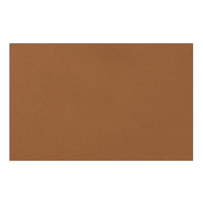 Бумага для пастели 210 х 297 мм, Lana Colours, 1 лист, 160 г/м?, сиена