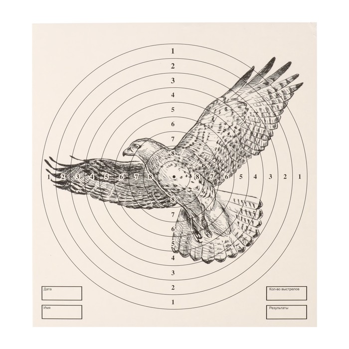 Мишень "Орёл" для стрельбы из пневматического  оружия, 14 х14 см, дистанция 10 метров