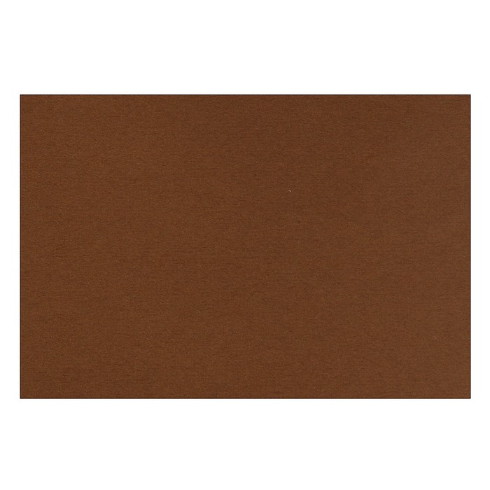 Бумага для пастели 210 х 297 мм, Lana Colours, 1 лист, 160 г/м?, тёмно-коричневый