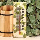 Термометр "Листья" 19,2х7 см