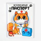 Обложка на ветеринарный паспорт «Доктор Кот»