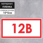 Табличка "Указатель напряжения 12В", пленка, 100х50 мм