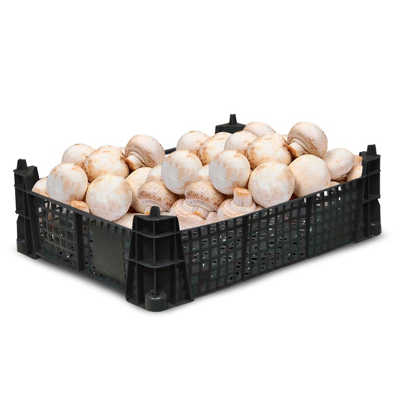 Ящик для грибов шампиньонов 400x300x110_черный арт.101