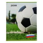 Дневник универсальный для 1-11 классов "Футбольный мяч на поле", обложка мелованный картон, 40 листов