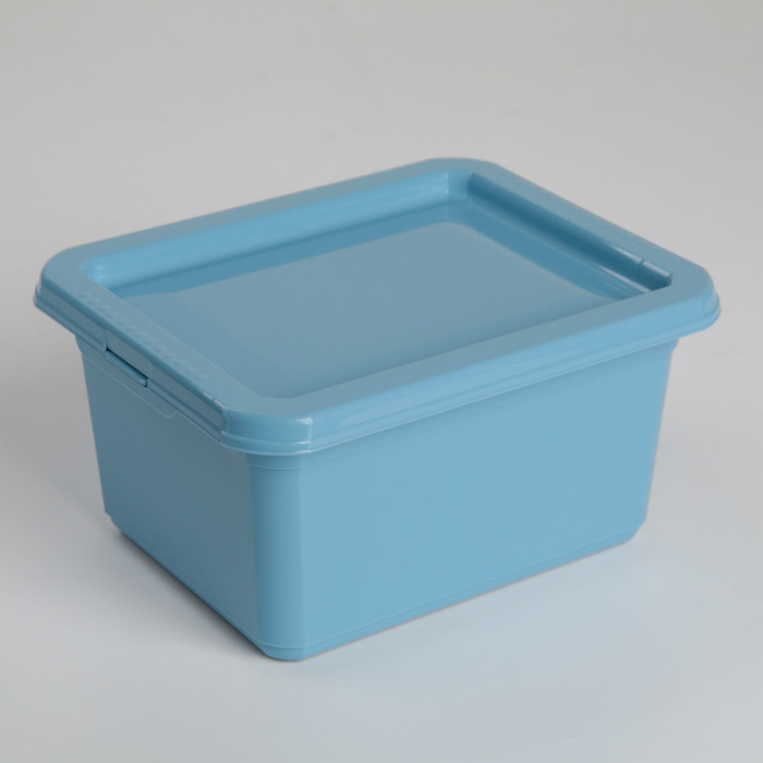 Ящик для хранения Helsinki, 2 л, цвет туманно-голубой