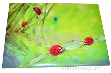 -   Berlingo "Ladybird", 4, 180, 