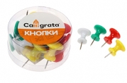 Кнопки силовые большие цветные 15 штук в пластиковой коробке CALLIGRATA 2422540