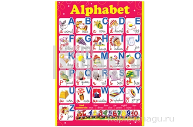     "Alphabet", 490*690